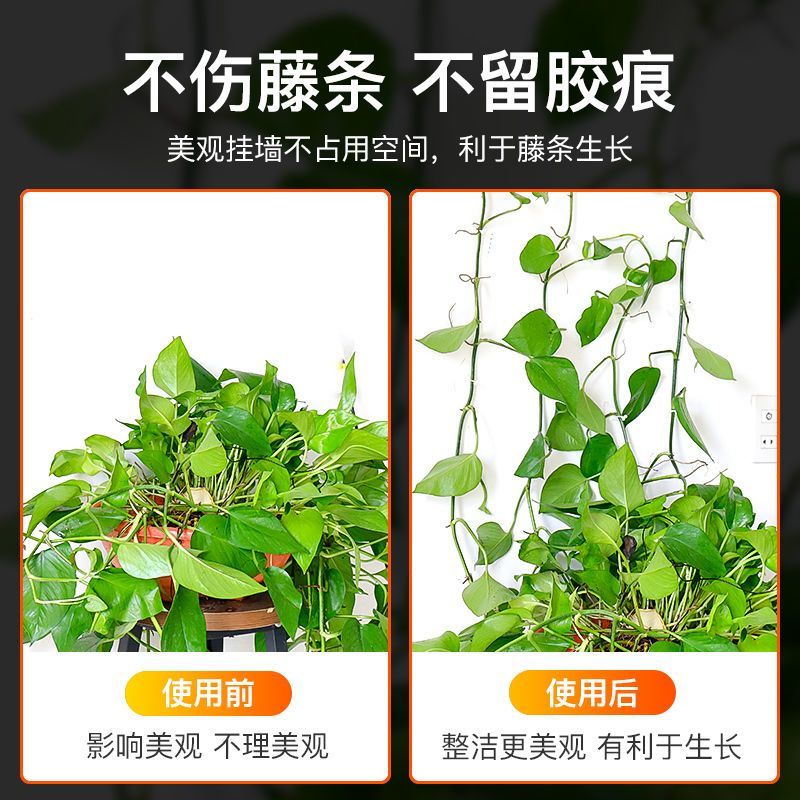 花卡夹子绿萝固定器可拆卸无痕藤本月季爬墙植物绿萝藤隐形绿植夹-【大号50个】高清大图