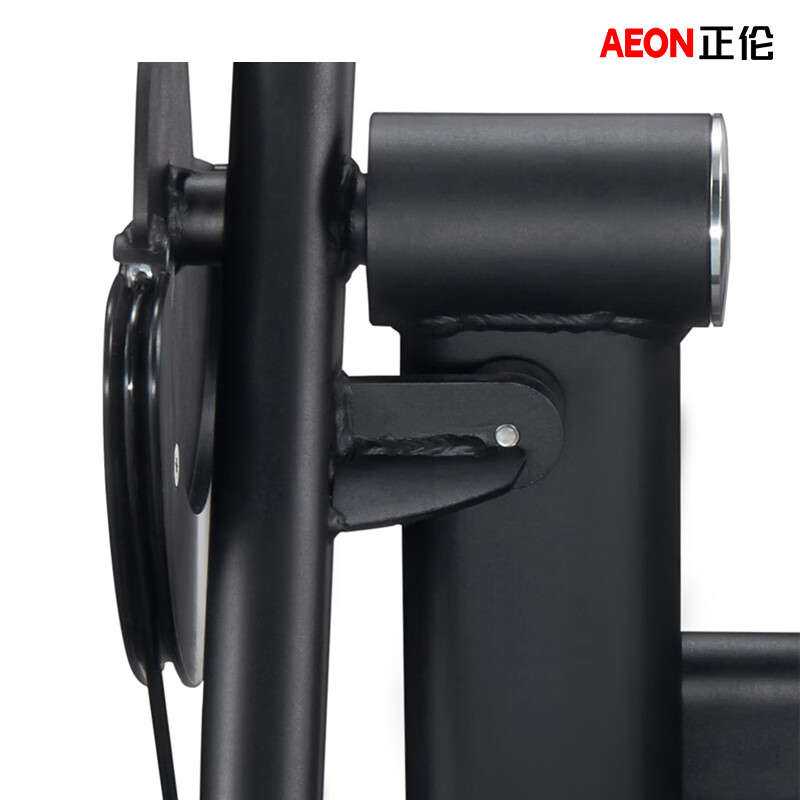 正伦 CS-807 肱二头弯举训练器力量训练器材高清大图