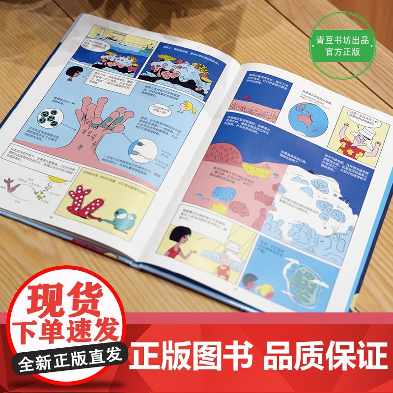 漫画海洋故事 (法国海洋生物学家写给孩子的海洋科普漫画,趣读漫画故事,通览海洋奥秘!)高清大图