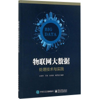物联网大数据处理技术与实践 王桂玲等 著 专业科技 文轩网