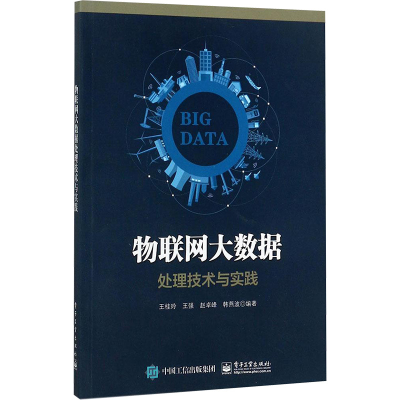 物联网大数据处理技术与实践 王桂玲等 著 专业科技 文轩网