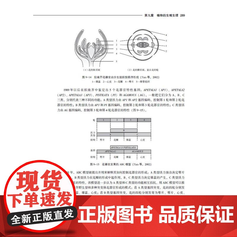 教材.植物生理学(中国轻工业“十四五”规划立项教材 高等学校植物生产类专业应用型本科教材)龚月桦,何龙飞主编出版年份20