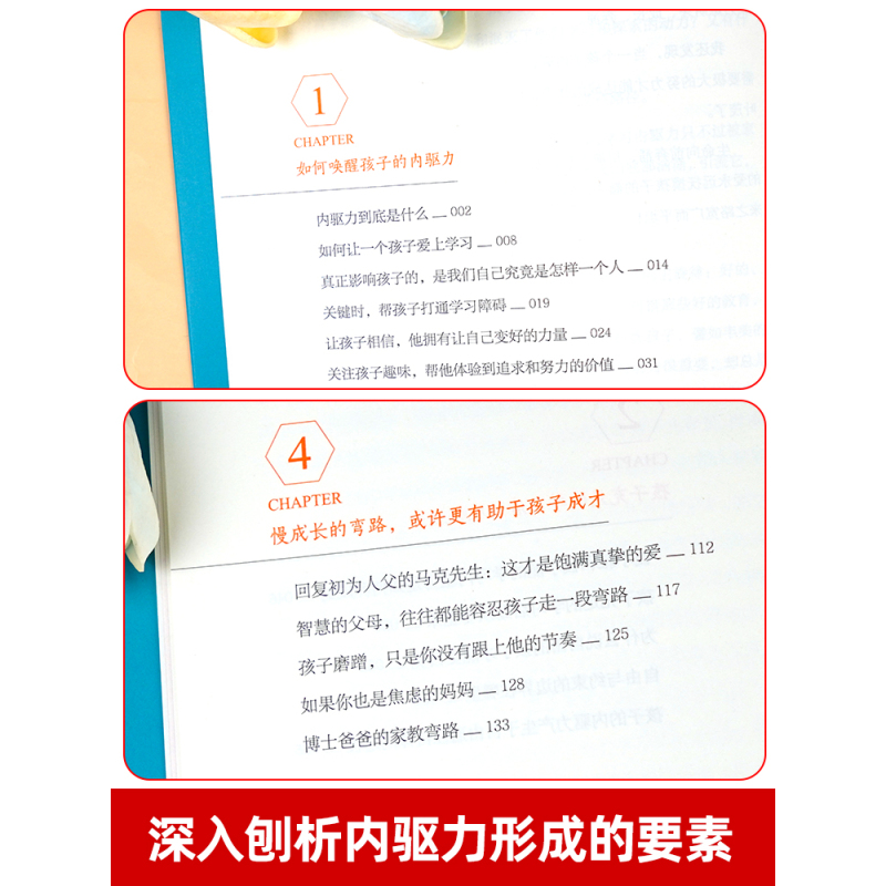 [正版]书籍唤醒孩子内驱力激发儿童心理学教育书籍专注力必注意力训练培养教育孩子的书自驱型成长正面管教父母读懂孩子的心育