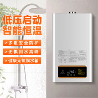 欢呼好太太燃气热水器12升 家用智能恒温强排式低压启动变频节能 四季恒温天然气热水器ATS05