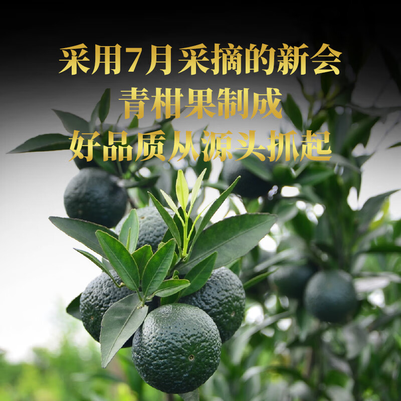 大益茶叶 普洱茶熟茶 2023年7益果小青柑 新会小青柑 柑普茶200g高清大图