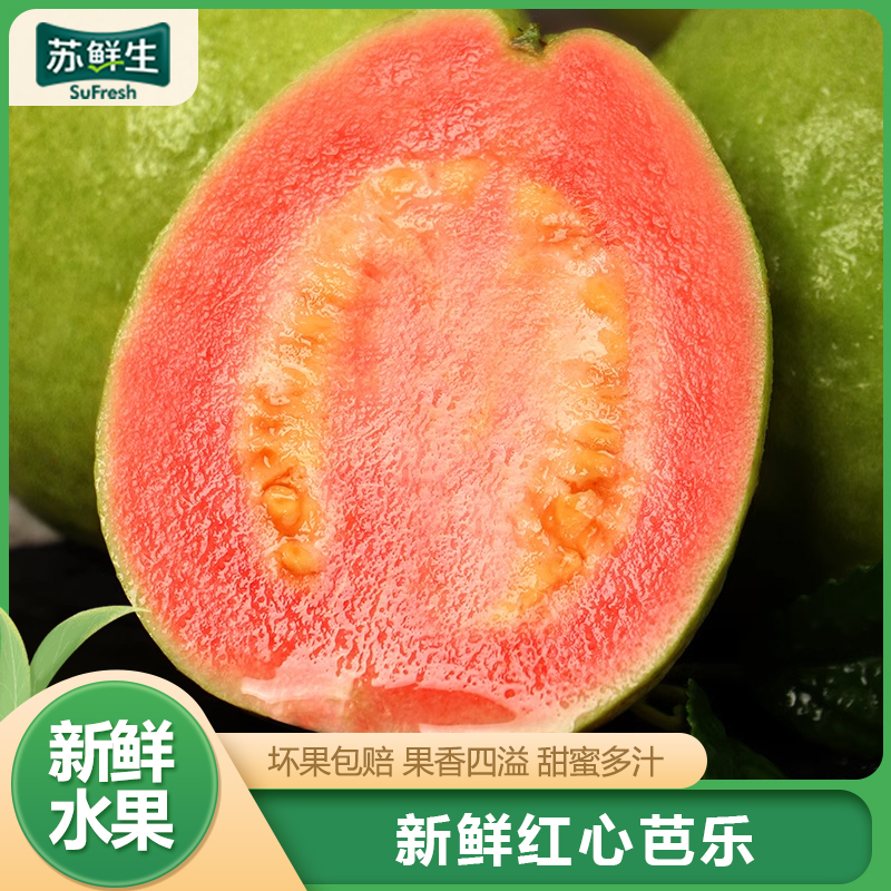 【苏鲜生】福建红心芭乐 番石榴 5斤装 新鲜水果 甘甜可口 果香怡人 香甜多汁