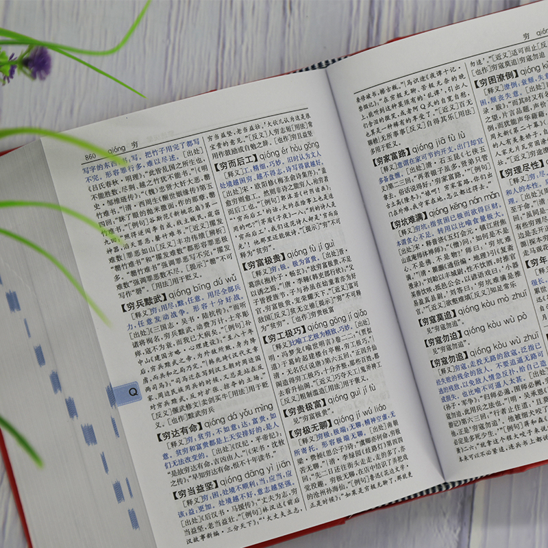 [新华正版]新版成语大词典 双色本修订本 商务印书馆 新版成语词典 小学生初高中学生专用成语辞典大全汉语字典成语高清大图