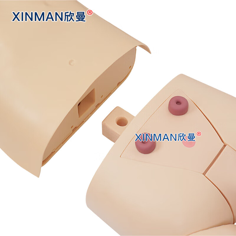 欣曼科教 高级心肺复苏AED除颤血压测量训练模拟人 无线版不含电脑XM-ALS1002高清大图