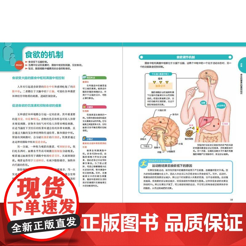 生活-图解营养学基础图解图解远离疾病的营养学健康饮食搭配技巧营养学营养师大全书养生食疗饮食搭配技巧营养健康科普膳食实用书高清大图