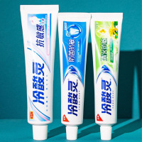 芳美达 冷酸灵健康护龈牙膏水果薄荷香型牙龈护理清洁口腔 抗敏感90G*3 三支装