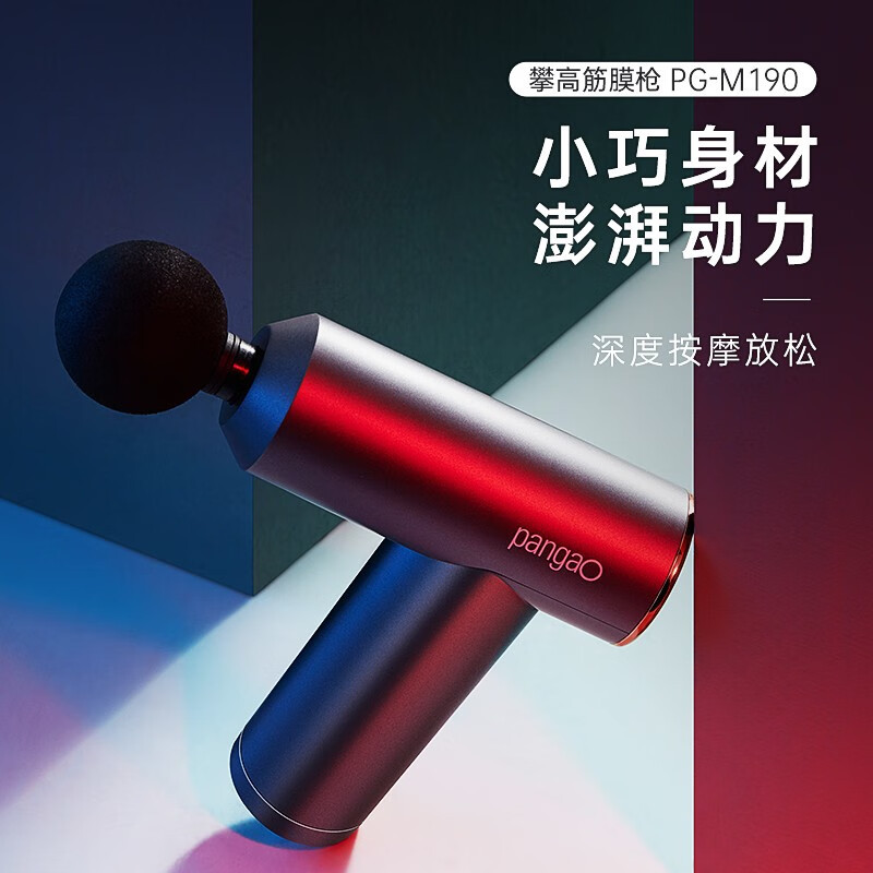 攀高(PANGAO) 颈腰部按摩器礼盒款 颈部按摩仪腰部按摩器 PG-M190+EYE5