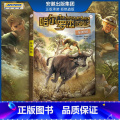 新版 非洲历险 【正版】全套18册 哈尔罗杰历险记礼盒典藏版 亚马孙探险/勇探火山口 南海奇遇 儿童科幻冒险小说成长版亚