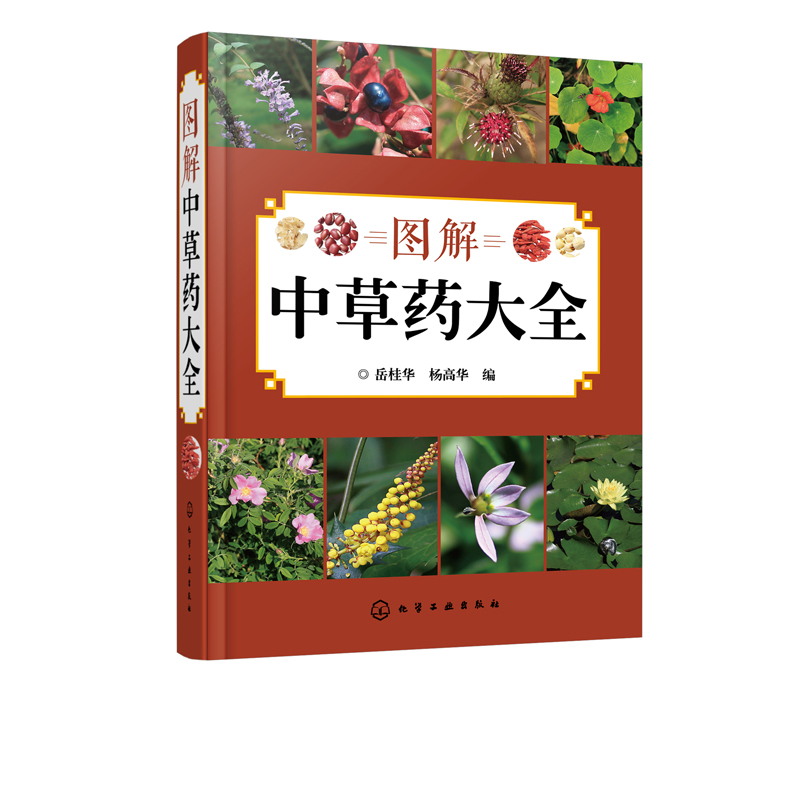 [醉染正版]图解中草药 中医入门中草药书籍药材植物彩图中药 中医养生保健中草药识别百科全书 本草纲目中草药识别参考书籍高清大图