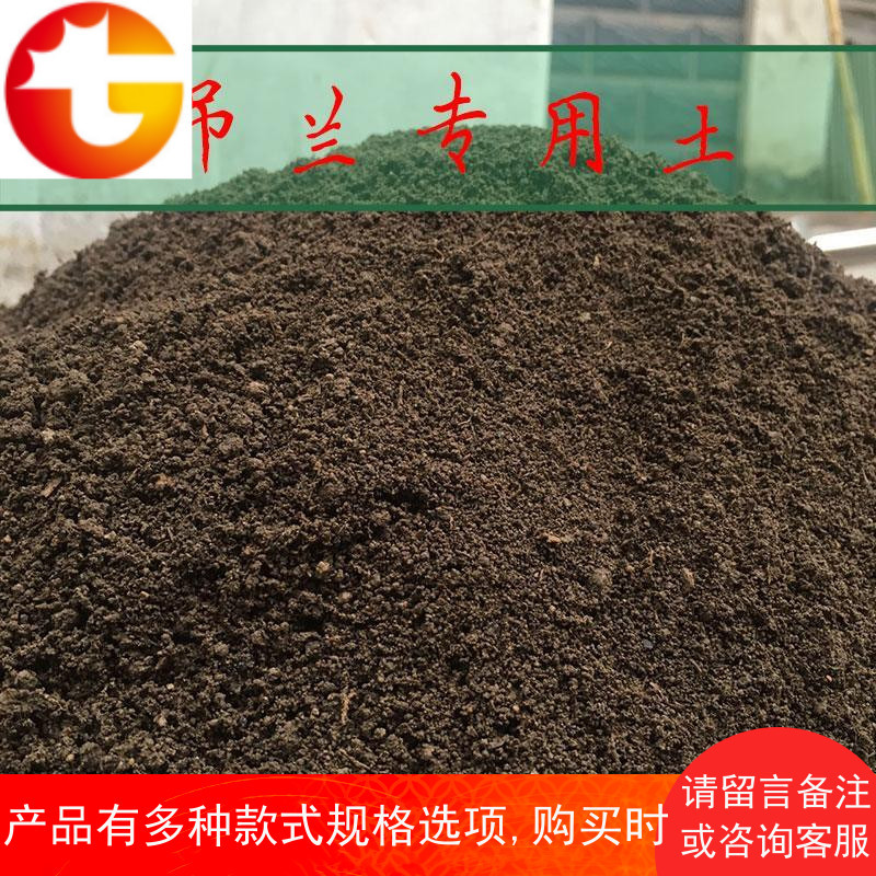 吊兰花土 花卉盆栽种植土 专用土 营养土 金边吊兰土壤 大包
