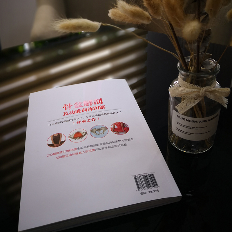 骨盆解剖及功能训练图解 (日)竹内京子,(日)冈桥优子 著 李健,陆长青 译 生活 文轩网