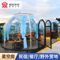 盛辉嘉业 星空房户外酒店阳光房温室花棚简易暖棚家用保暖推拉大篷定制 星空阳光房1