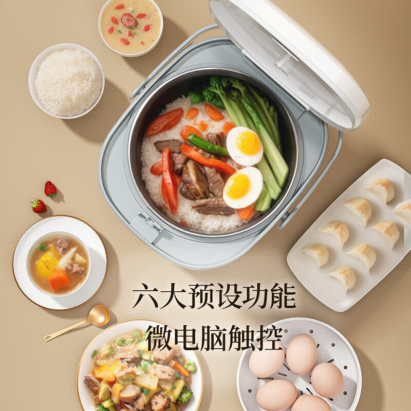 志高(CHIGO)电饭煲 FBD40-P/4L*高清大图