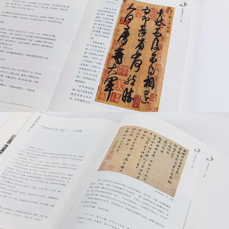 [正版] 苏东坡的朋友圈 刘墨 中国古代文人的艺术生活 苏轼生平年表书法绘画艺术人物故事古人趣味生活苏东坡传记文学人民美高清大图