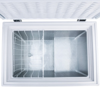 辰佳(Changer) BC/BD(W)-175 175升家用小冰柜商用节能顶开门卧式冷柜 冷藏冷冻 白色