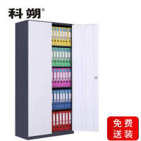 科朔 文件柜通体文件柜钢柜钢制办公室资料柜储物柜KS-G006