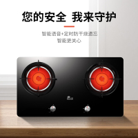 红日(RedSun)红外线燃气灶家用液化气煤气灶台智能定时双眼灶双炉灶双灶大火力节能灶ES009B