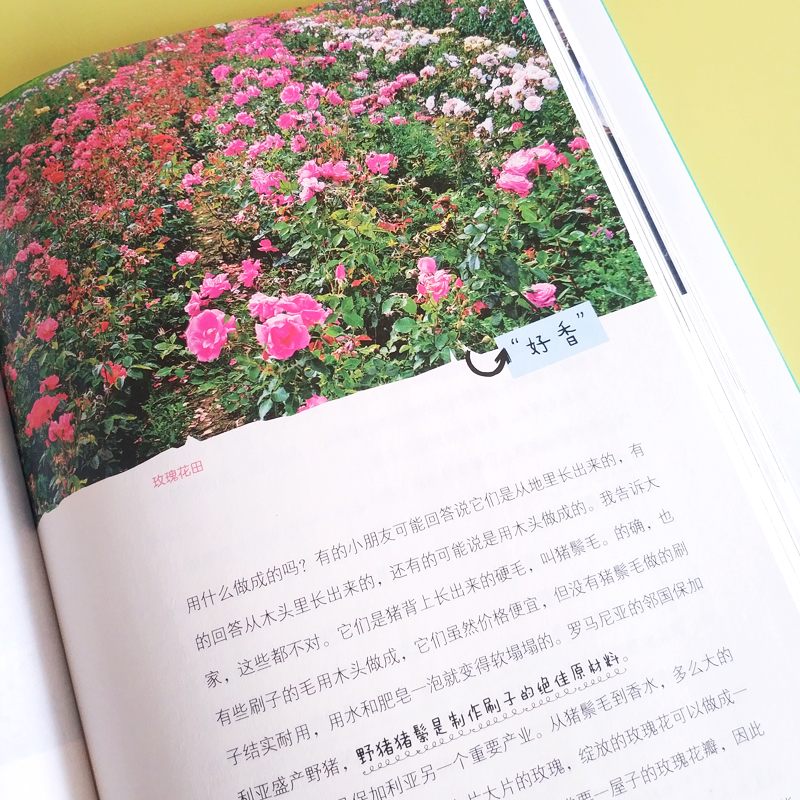 写给孩子的世界地理(上下卷) [正版] 精装2册 希利尔人文经典写给孩子的世界地理上下卷 中小学生地理科普百科 希利高清大图