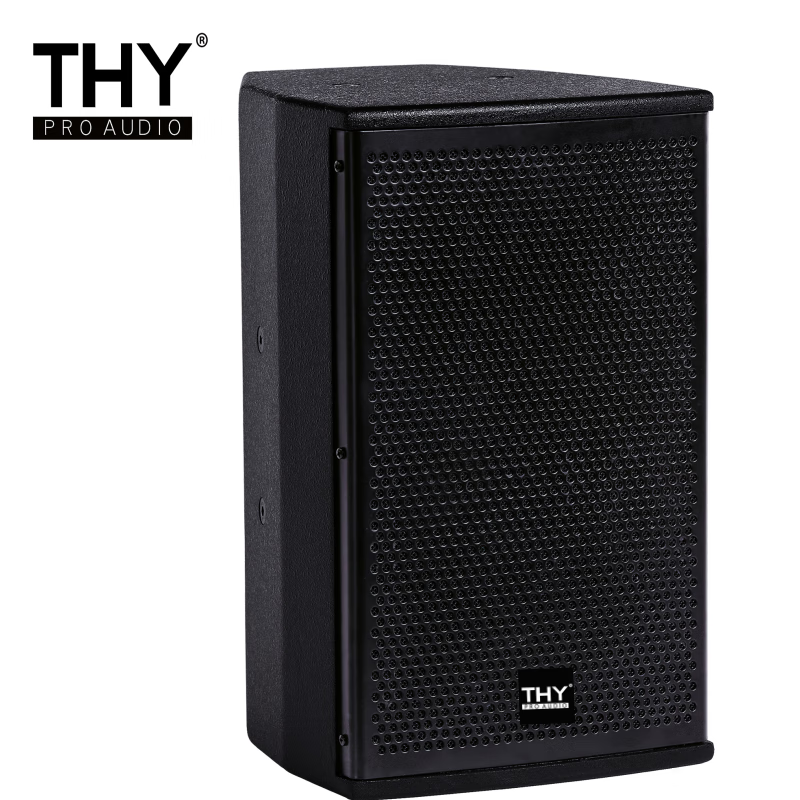 THY PRO AUDIO会议音响/多功能厅音响/ TF08 只 音响TF08/8寸黑色200W只