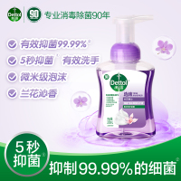 滴露泡沫抑菌洗手液汪汪队兰花沁香250ml