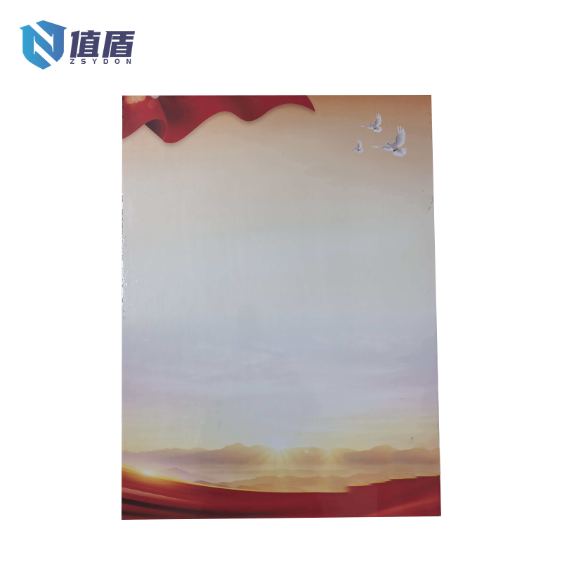 值盾 ZSYDON KT板标识 60*80cm 个高清大图
