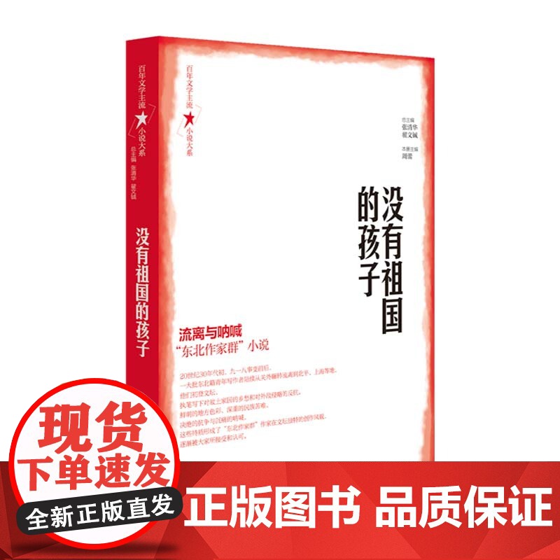 百年文学主流小说大系·没有祖国的孩子高清大图