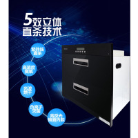 普田消毒柜ZTD95G-07B