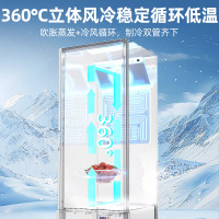 星星(XINGX)立式大型展示柜家用商用大容量冷藏保鲜柜风直冷超市便利店小卖部玻璃门啤酒饮料展示柜LSC-315C
