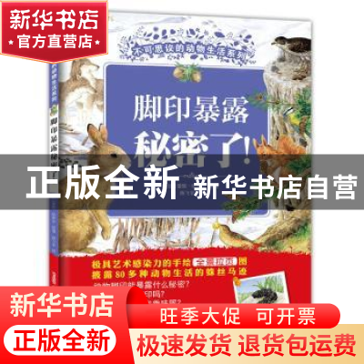 正版 脚印暴露秘密了! (比)蕾妮·哈伊尔绘著 新疆青少年出版社 9