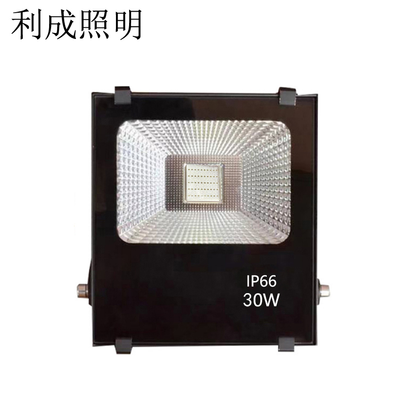 利成照明 彩色泛光灯 LC1321-30W