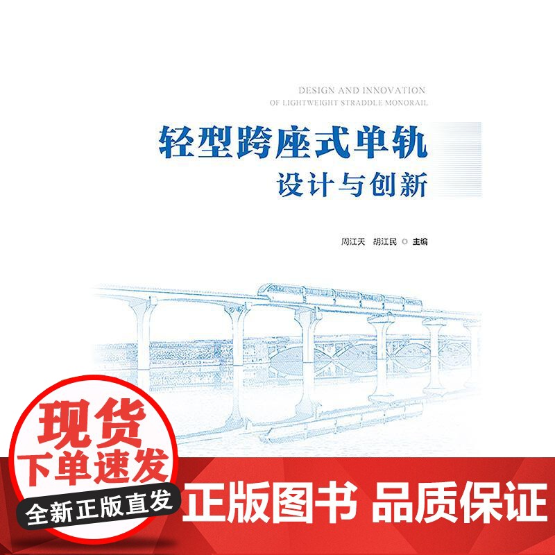轻型跨座式单轨设计与创新高清大图
