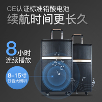 爱浪（Avlight） 爱浪EX-10三分频户外移动拉杆音响大功率电瓶音箱无线蓝牙K歌广场舞音响
