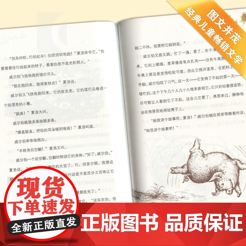 夏洛书屋(全套5册) 系列含精灵鼠小弟/夏洛的网/吹小号的天鹅/总有一天会长大/北风的背后 儿童文学 成长励志 上海译文高清大图