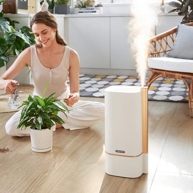 摩飞MR2082 有雾加湿器高清大图