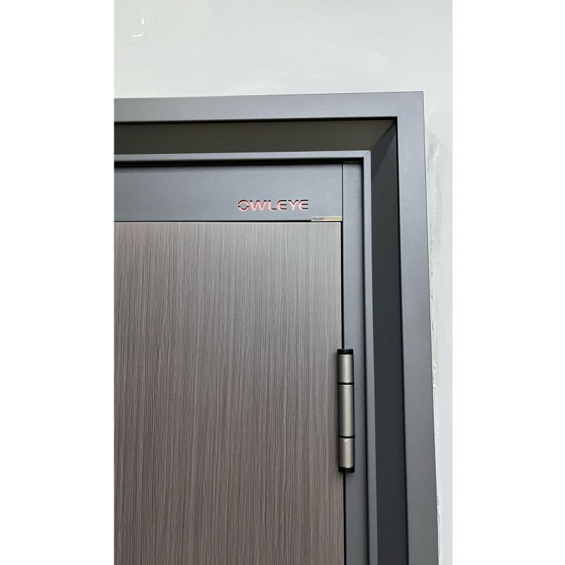 防盗门厂家生产家甲级子母防盗门别墅高端安全入户门内嵌式指纹锁