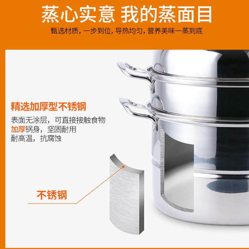 德铂 施威林不锈钢(蒸锅)图片