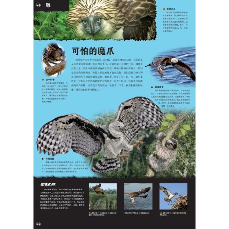 野生动物大探秘(NEW)/超级炫酷3D立体大百科 [英]芭芭拉·泰勒/著 著作 少儿 文轩网