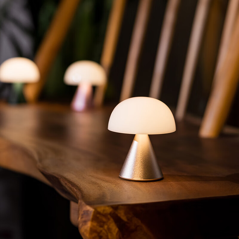 乐上LEXONMINA 蘑菇灯-小号LH60MAP高清大图