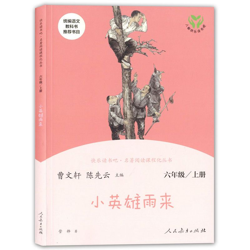 快乐读书吧六年级上册课外书全3册人教版爱的教育童年小英雄雨来