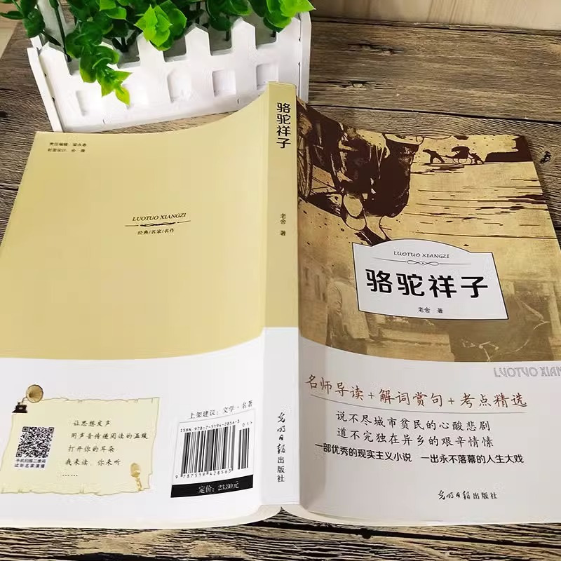 有声伴读-骆驼祥子 [正版]骆驼祥子小学生四五六七年级书原著青少年版初中生老舍原版导读版课外书经典骆驼样子无删减儿童名著