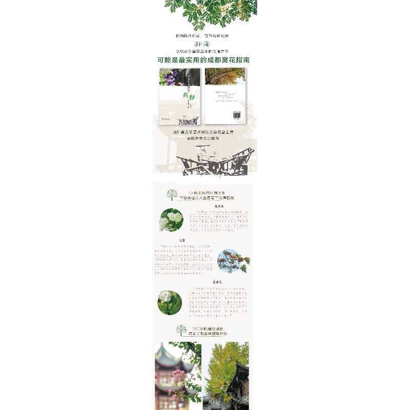 醉染图书街巷里的四季 成都草木寻踪9787100181709高清大图