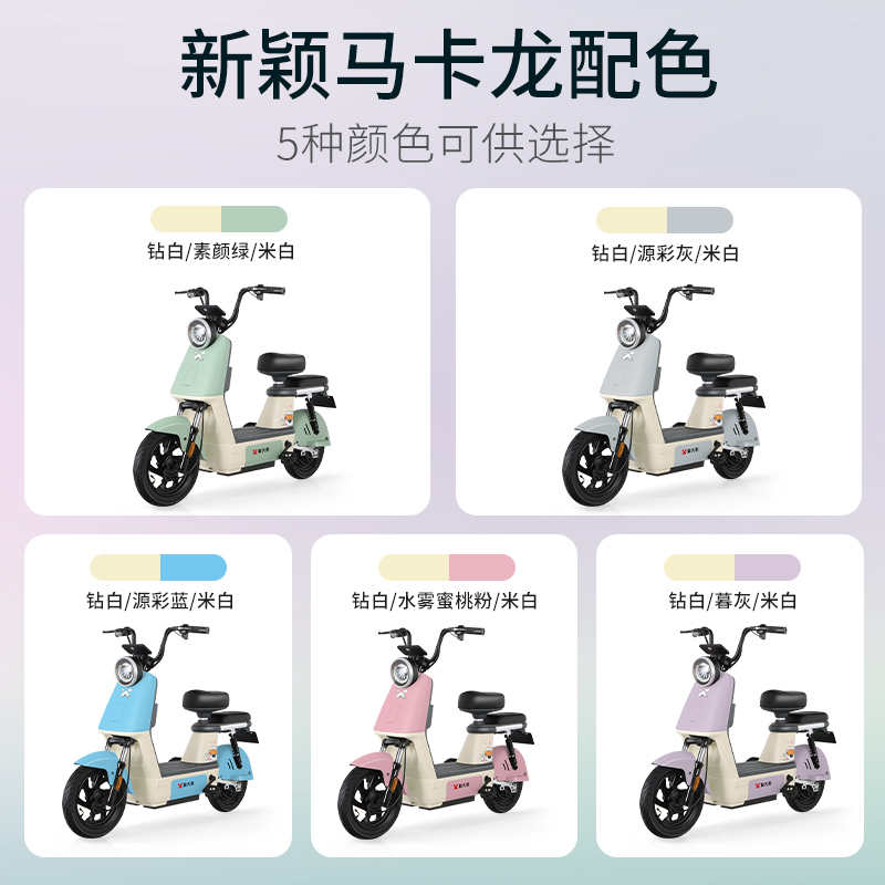 派乐/PALLA 贝塔 新国标48V18Ah铅酸电池电动车代步助力电动自行车 水雾桃粉(不带菜篮+靠背)