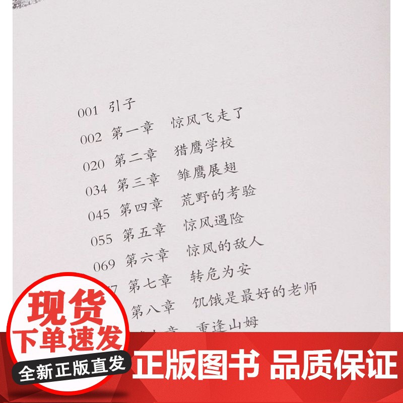 正版童书 山居岁月系列 惊风的山 乔治是一位热爱自然以写作自然故事为主的美国儿童文学作家 新蕾出版社 克雷赫德高清大图