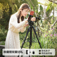 Q111便携相机摄影摄像三角架自拍照抖音快手vlog视频直播手机座通用微单反三脚架云台套装真智力手机座 真智力