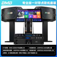 BMB CSD880卡拉ok音响套装 家用包房10英寸专业家庭KTV音响全套