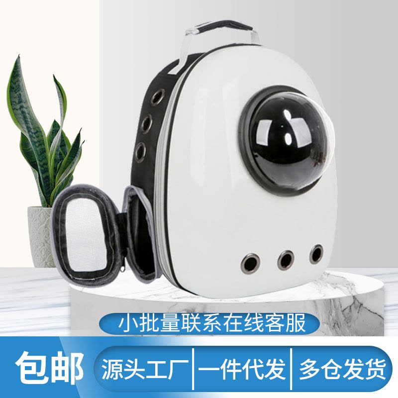 宠物包外出便携包猫包太空舱猫狗太空包胸前外带大型双肩背包图片